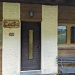Cactus - 4 Vallees Chalet