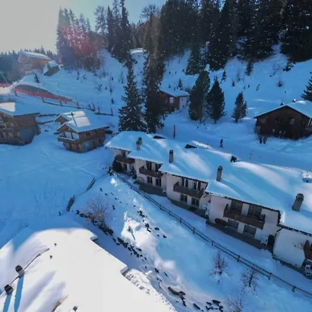 Cactus - 4 Vallees *