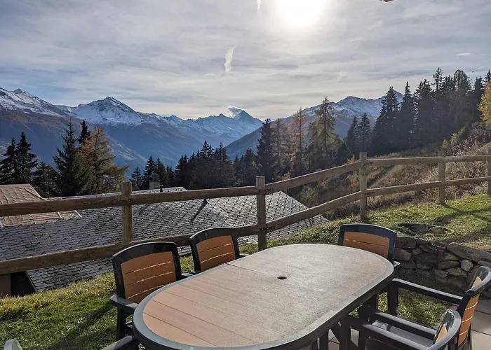 Cactus - 4 Vallees Horská chata