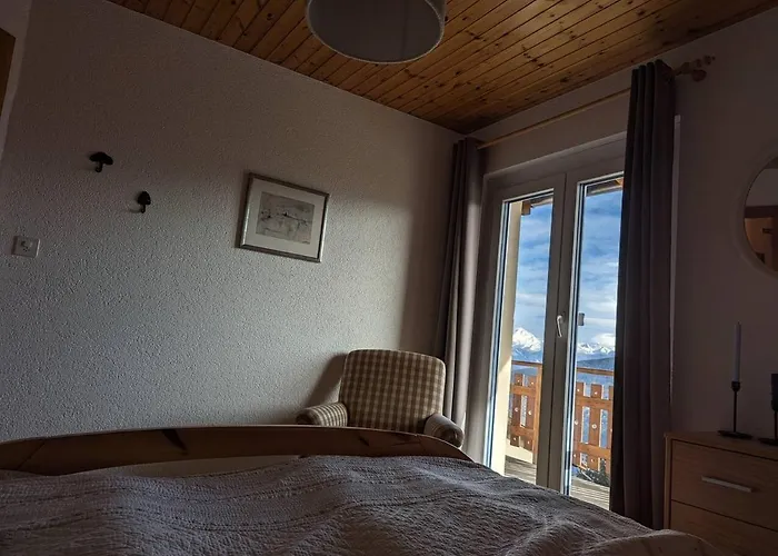 Cactus - 4 Vallees *