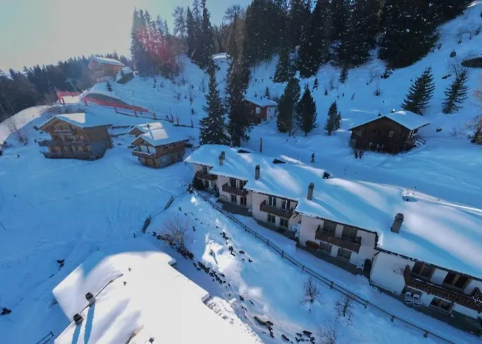 Cactus - 4 Vallees *