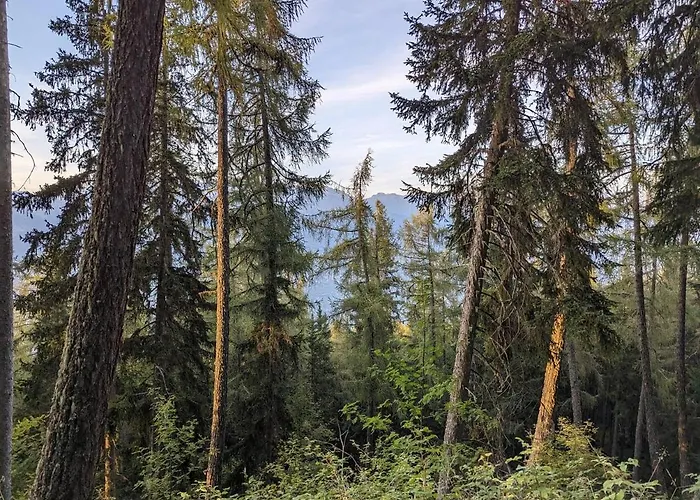 Cactus - 4 Vallees Hérémence