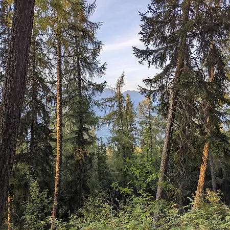 Cactus - 4 Vallées Hérémence